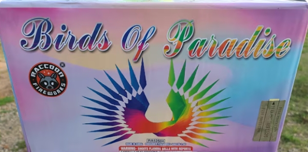 Birds Of Paradise