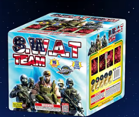 SWAT TEAM